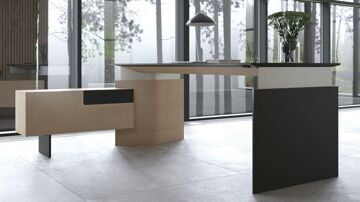 executive-furniture-MOVELEAD-interiors-09